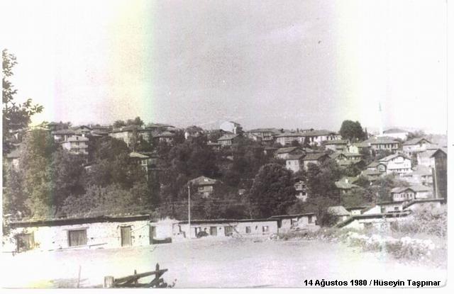 1833 kez tklanm.