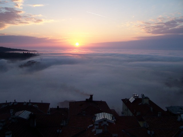 3216 kez tklanm.